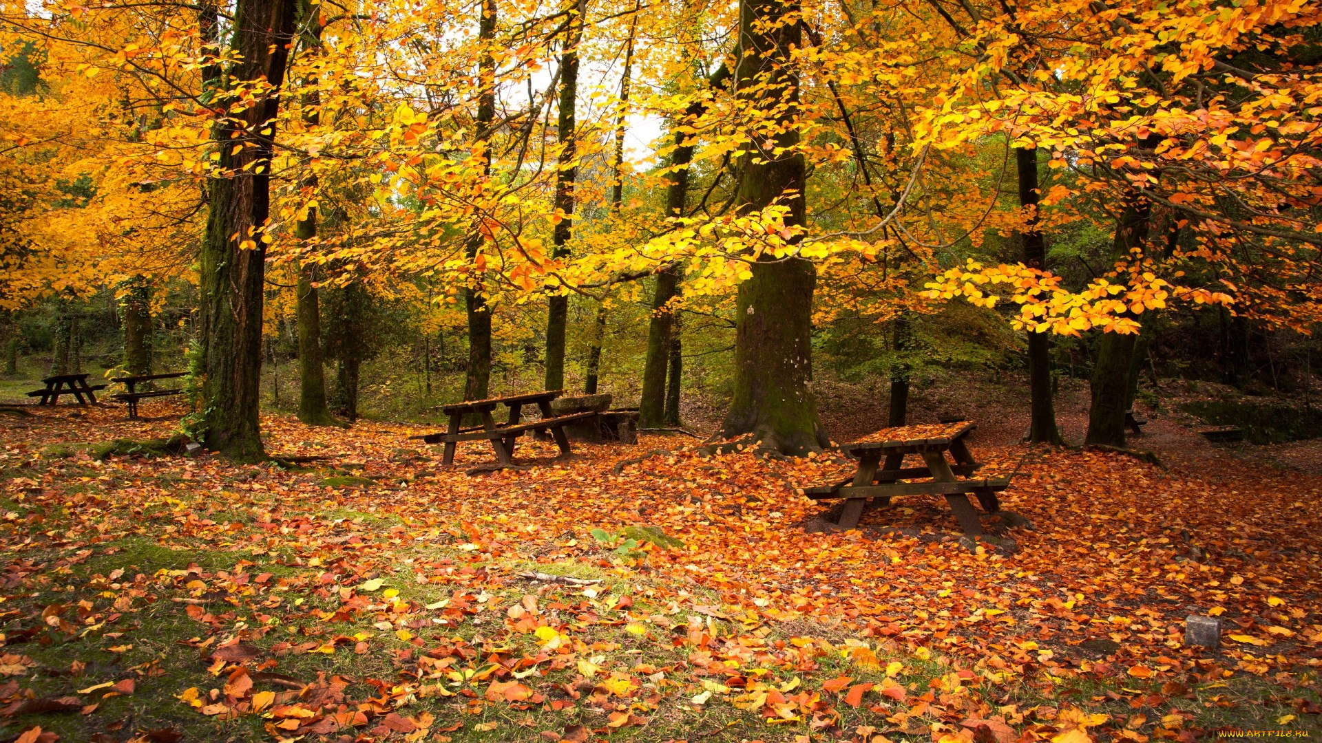 autumn, , , , , 